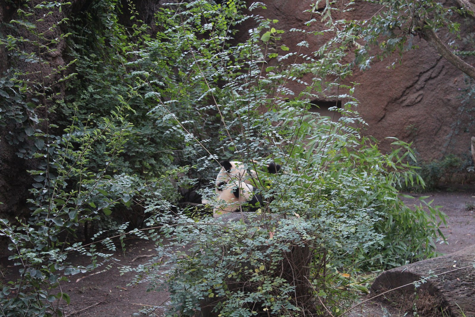 San Diego Zoo Part II 180